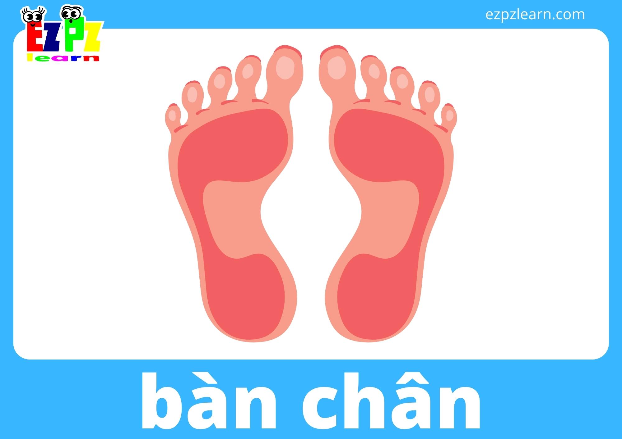 bàn chân